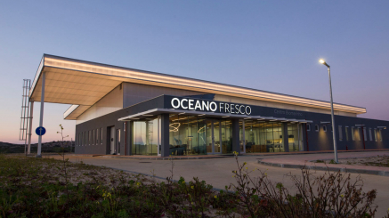 oceano-fresco-5
